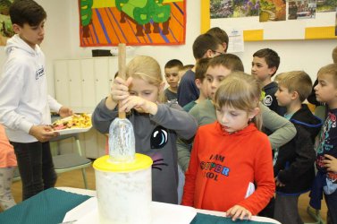 9. Zweiglein Projektwoche in der Munkácsy Schule